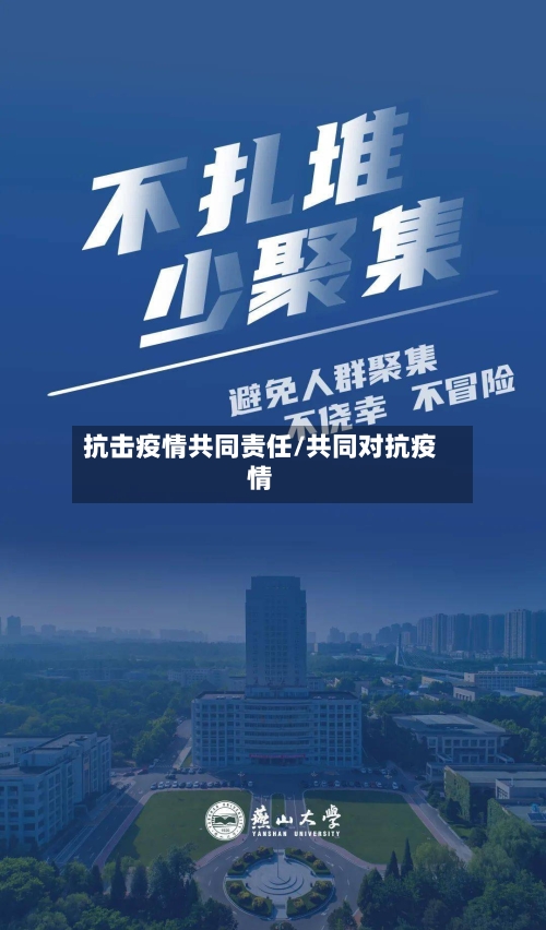 抗击疫情共同责任/共同对抗疫情