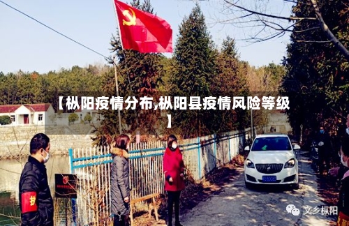 【枞阳疫情分布,枞阳县疫情风险等级】