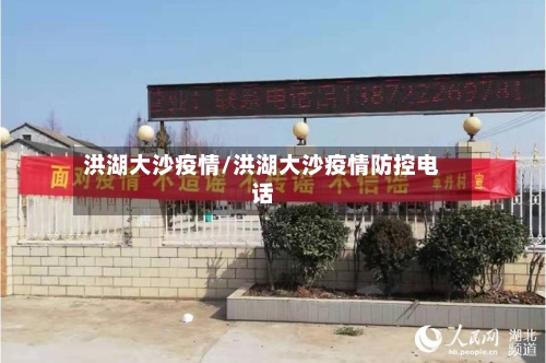 洪湖大沙疫情/洪湖大沙疫情防控电话