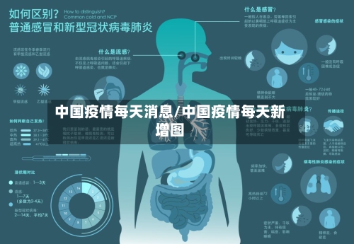 中国疫情每天消息/中国疫情每天新增图