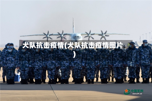 犬队抗击疫情(犬队抗击疫情图片)