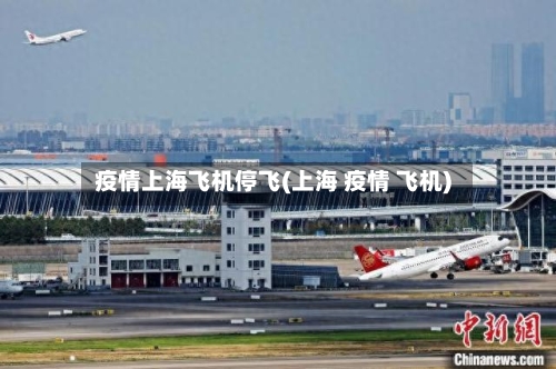 疫情上海飞机停飞(上海 疫情 飞机)-第2张图片