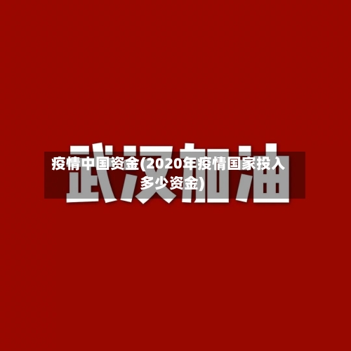 疫情中国资金(2020年疫情国家投入多少资金)