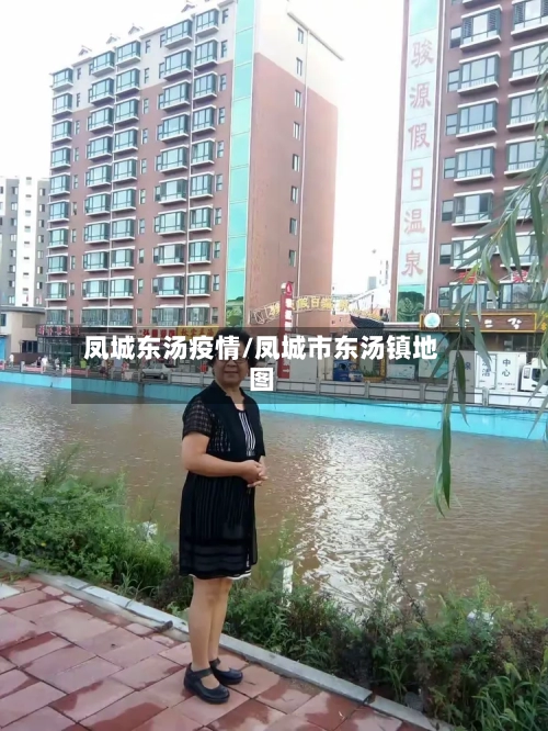 凤城东汤疫情/凤城市东汤镇地图