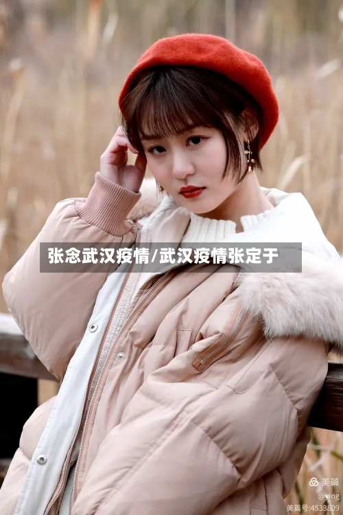 张念武汉疫情/武汉疫情张定于-第2张图片