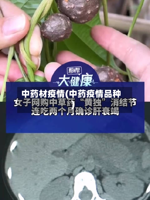 中药材疫情(中药疫情品种)