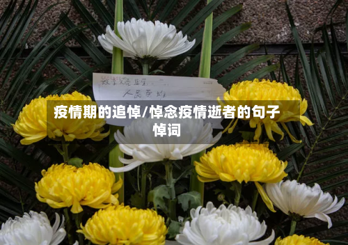 疫情期的追悼/悼念疫情逝者的句子悼词-第2张图片