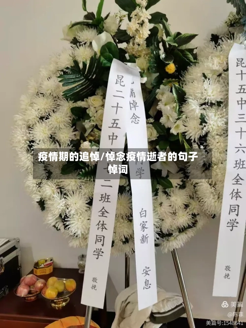 疫情期的追悼/悼念疫情逝者的句子悼词-第3张图片