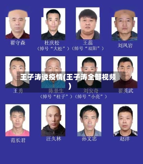 王子涛说疫情(王子涛全部视频)