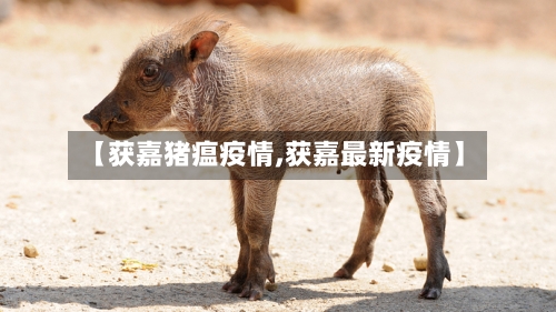 【获嘉猪瘟疫情,获嘉最新疫情】-第3张图片