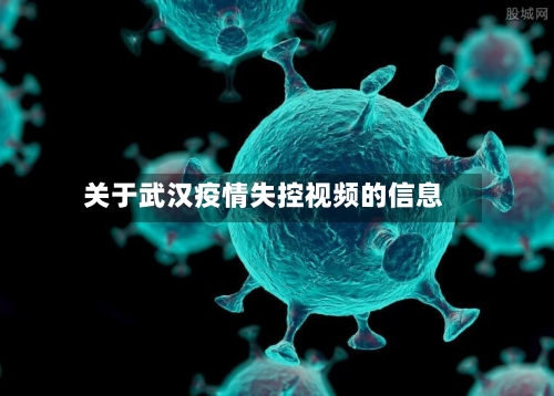关于武汉疫情失控视频的信息-第2张图片