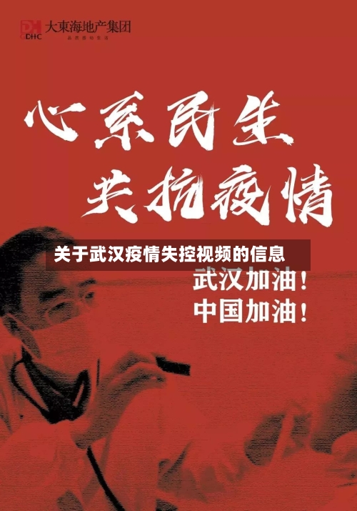 关于武汉疫情失控视频的信息-第3张图片