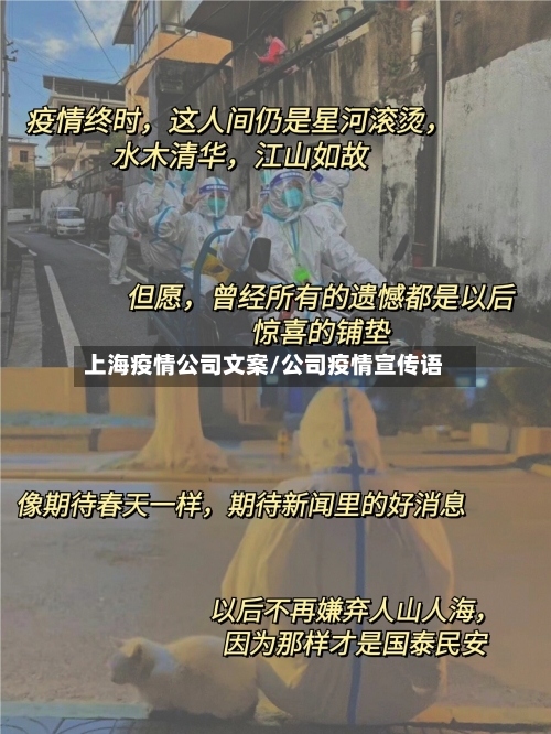 上海疫情公司文案/公司疫情宣传语