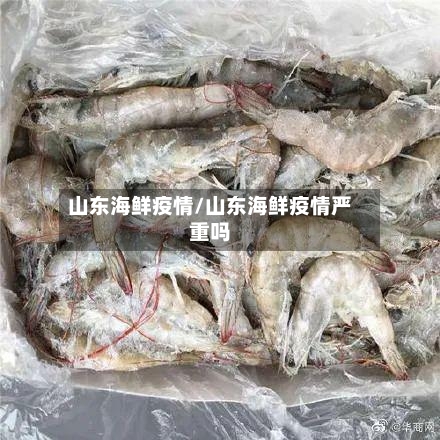 山东海鲜疫情/山东海鲜疫情严重吗-第2张图片