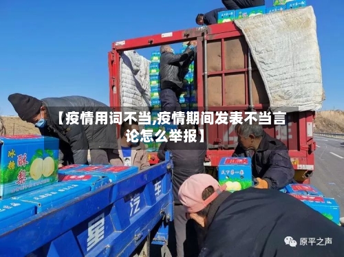 【疫情用词不当,疫情期间发表不当言论怎么举报】-第3张图片