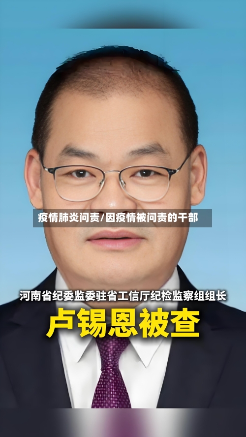 疫情肺炎问责/因疫情被问责的干部