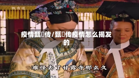 疫情甄嬛传/甄嬛传疫情怎么揭发的-第2张图片