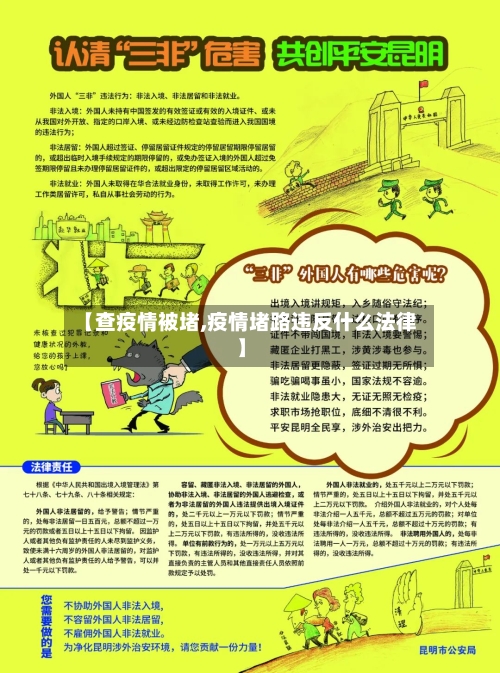 【查疫情被堵,疫情堵路违反什么法律】-第3张图片