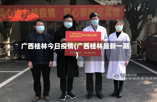 广西桂林今日疫情(广西桂林最新一期)-第2张图片