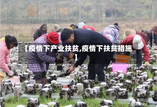【疫情下产业扶贫,疫情下扶贫措施】-第2张图片