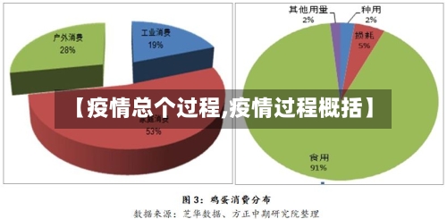 【疫情总个过程,疫情过程概括】-第3张图片
