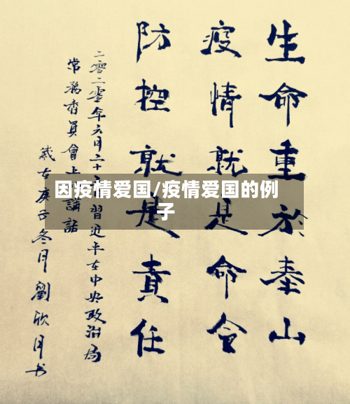 因疫情爱国/疫情爱国的例子