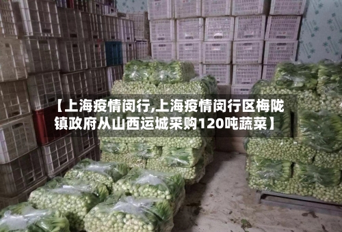 【上海疫情闵行,上海疫情闵行区梅陇镇政府从山西运城采购120吨蔬菜】