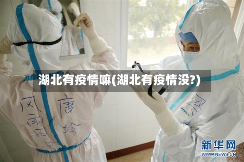 湖北有疫情嘛(湖北有疫情没?)-第3张图片