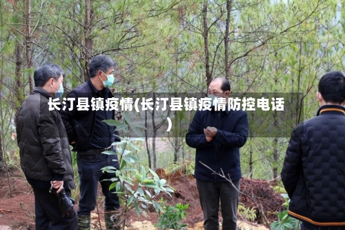 长汀县镇疫情(长汀县镇疫情防控电话)