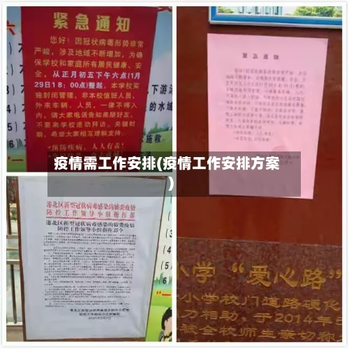 疫情需工作安排(疫情工作安排方案)-第2张图片