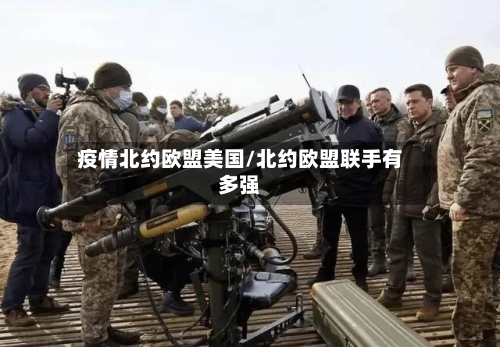 疫情北约欧盟美国/北约欧盟联手有多强