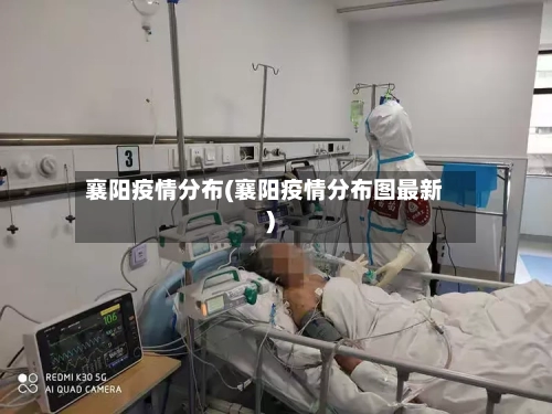 襄阳疫情分布(襄阳疫情分布图最新)-第3张图片