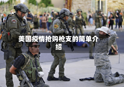 美国疫情抢购枪支的简单介绍-第3张图片