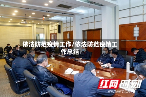 依法防范疫情工作/依法防范疫情工作总结-第2张图片