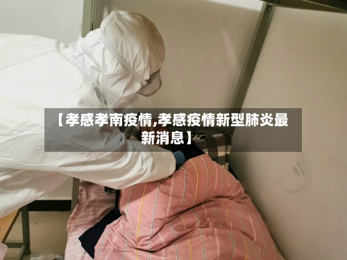 【孝感孝南疫情,孝感疫情新型肺炎最新消息】-第3张图片