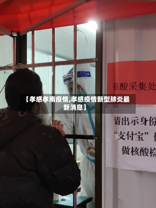 【孝感孝南疫情,孝感疫情新型肺炎最新消息】-第2张图片