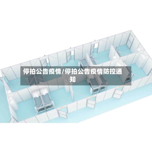 停拍公告疫情/停拍公告疫情防控通知-第2张图片