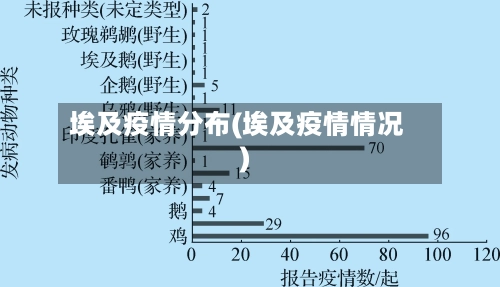 埃及疫情分布(埃及疫情情况)