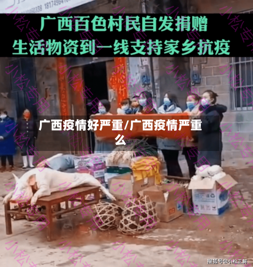 广西疫情好严重/广西疫情严重么-第2张图片