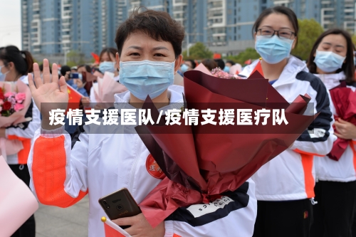 疫情支援医队/疫情支援医疗队-第2张图片