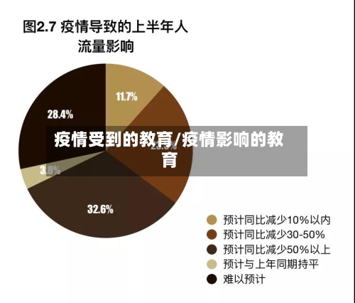疫情受到的教育/疫情影响的教育