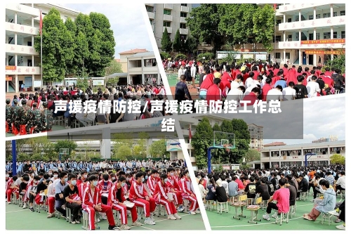 声援疫情防控/声援疫情防控工作总结