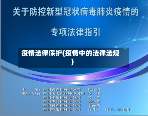 疫情法律保护(疫情中的法律法规)-第3张图片