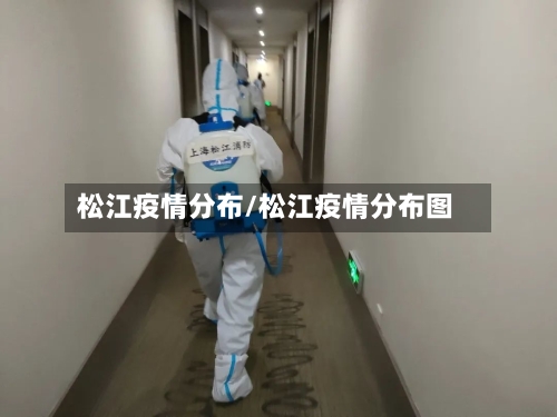 松江疫情分布/松江疫情分布图