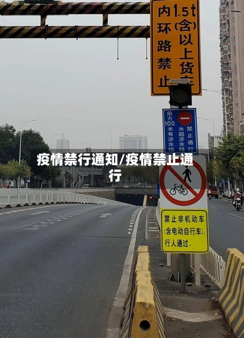 疫情禁行通知/疫情禁止通行-第2张图片