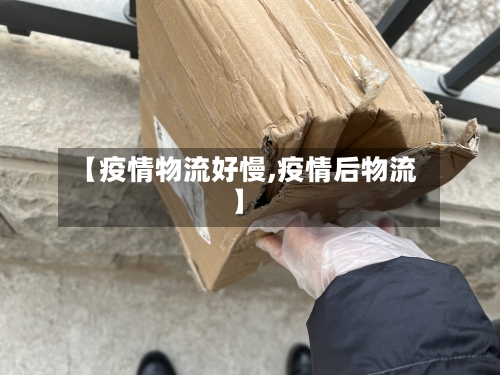 【疫情物流好慢,疫情后物流】-第3张图片
