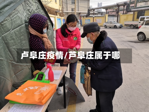 卢阜庄疫情/芦阜庄属于哪-第3张图片