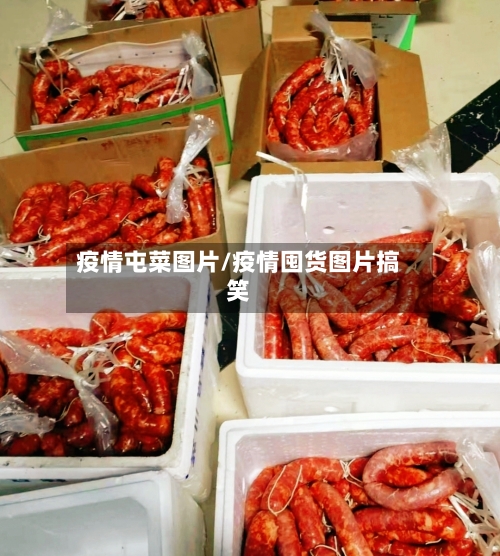 疫情屯菜图片/疫情囤货图片搞笑-第2张图片