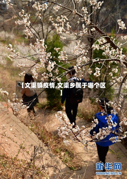 【文渠镇疫情,文渠乡属于哪个区】