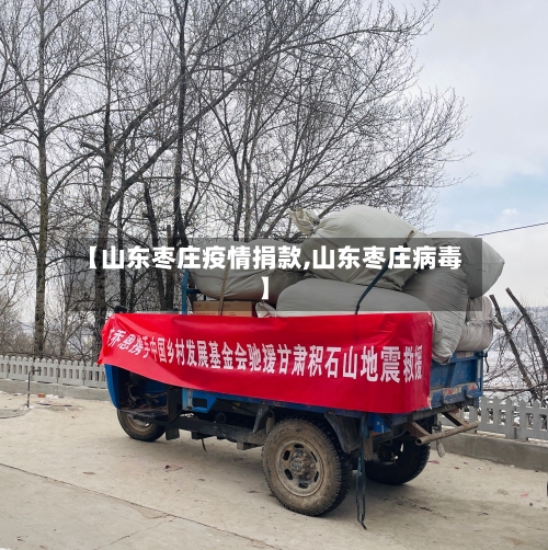 【山东枣庄疫情捐款,山东枣庄病毒】